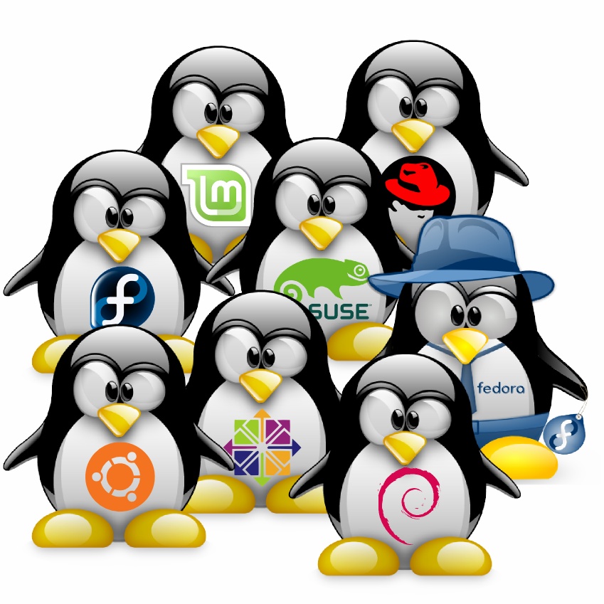 Linux versions penguin mascots