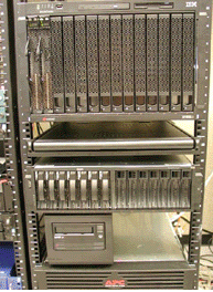 5.gif