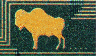 7.gif