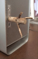 memory-stick.gif