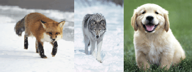 trio.gif
