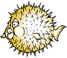 openbsd_sm.gif