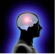 neuro.jpg