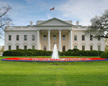 white-house.jpg