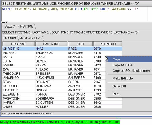 The console window is helpful for showing the resulting messages from running my SQL statements including any errors I generate.