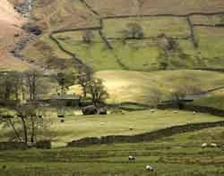 Cumbria Votes Against Broadband Proposals From Bt and Fujitsu