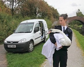 Rspca Mobilises Workforce with Amt-Sybex