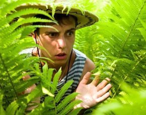 CIO-jungle-Thinkstock-iStock-290px.jpg