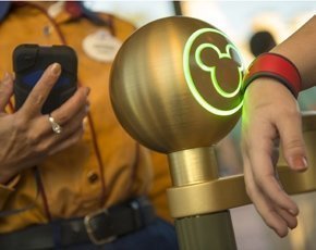 Disney-magicband-290px.jpg