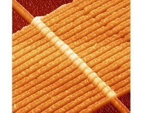 Memristor.jpg