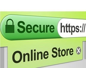 secure-https-ssl-290px.jpg
