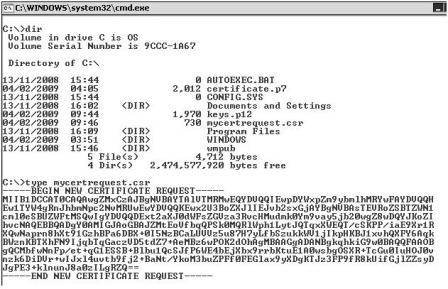 Command prompt on the View Server