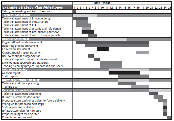 Business plan implementation plan sample