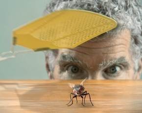Gary McGraw on how fixing badware can mitigate malware