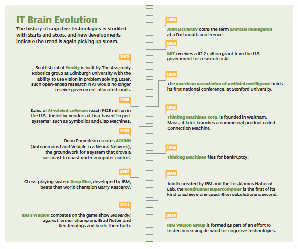 IT brain evolution