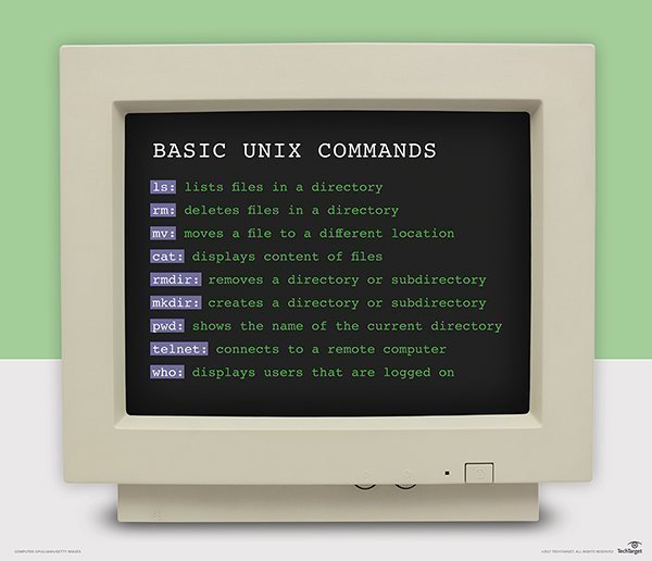 Basic Unix commands 