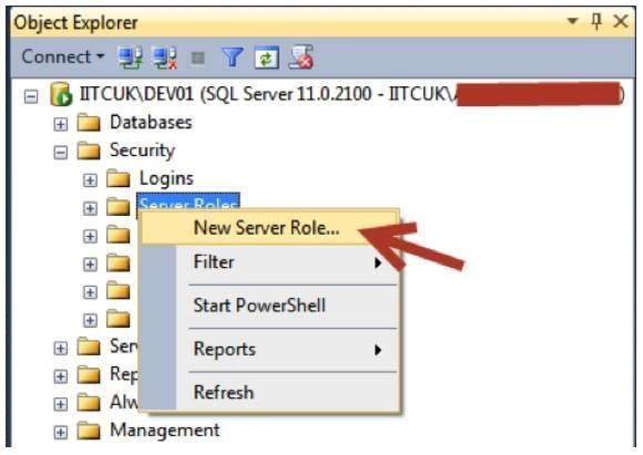 New Server Role
