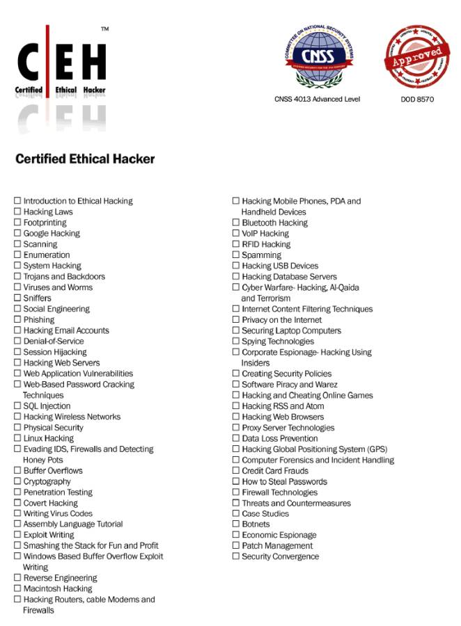 Ethical Hacking Course Notes Pdf