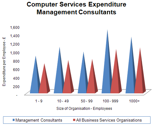 113 - Computer Services - Management Cons.gif