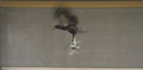 eagle-drone.jpg