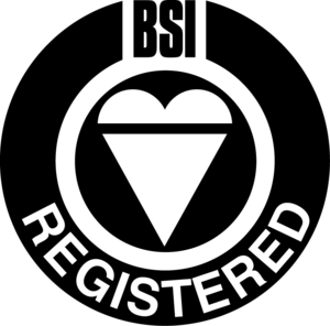 BSI Logo.png