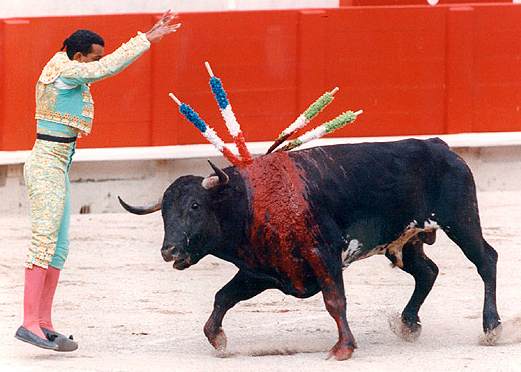 Matador harms bull with banderillas.png