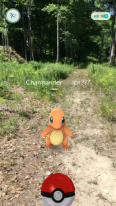 Pokemon Go Footage