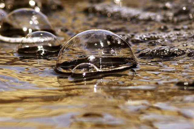 Image Source: Pixabay