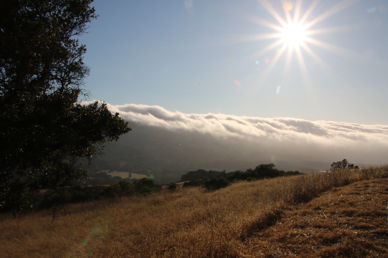 super fog weather