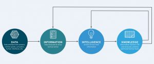 Turning data into information 