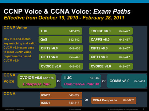 CIPT Exam Vce