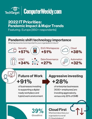 Infographic: Developer Frustrations & Priorities in 2022 