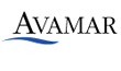Avamar Technologies