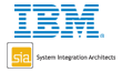 IBM and SI Architects