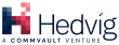 Hedvig - A Commvault Venture