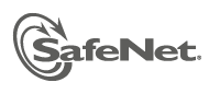 SafeNet, Inc.