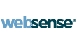Websense, Inc.