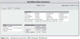 SAP BEx Tools: Standard Layout for a BEx Analyzer Workbook