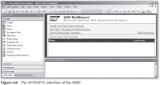 SAP BEx Tools: The WYSIWYG Interface of the WAD