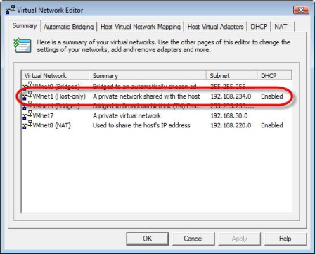 VMnet1 seen under the Summary tab of Virtual Network Editor