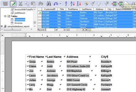 data to print field