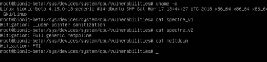 Kernel 4.15 bietet Linderung gegen die Sicherheitslücken Spectre und Meltdown.