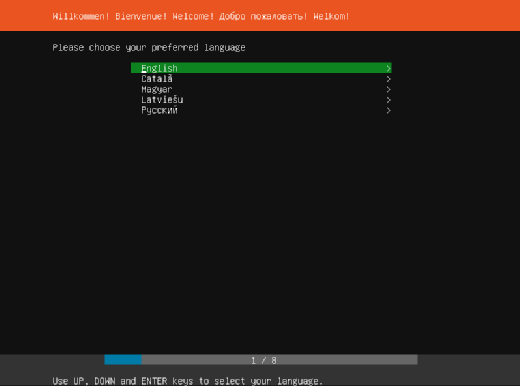 Der neue Installationsassistent Subiquity von Ubuntu 18.04 Server spricht derzeit noch kein Deutsch.