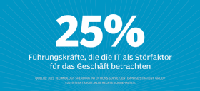 Viele Manager empfinden die IT eher als Problem und geschäftshemmend.