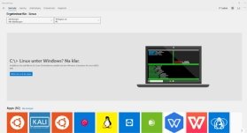 Abbildung 2: Im Microsoft Store nach Linux suchen.