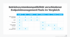Abbildung 1: Beachten Sie, welche Kompatibilitäten Sie im Unternehmen brauchen.