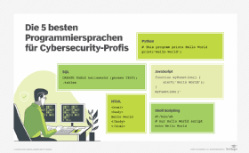 Abbildung 1: Kenntnisse in unterschiedlichen Sprachen können Security-Spezialisten gute Dienste leisten.