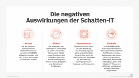Abbildung 1: Die Nutzung von Schatten-IT hat vielfältige Auswirkungen auf Unternehmen.