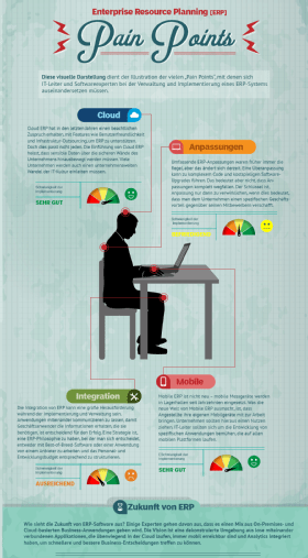 Enterprise Ressource Planning Pain Points