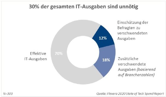 Abbildung 1: Laut einer Flexera-Studie sind fast ein Drittel der IT-Ausgaben unnötig.